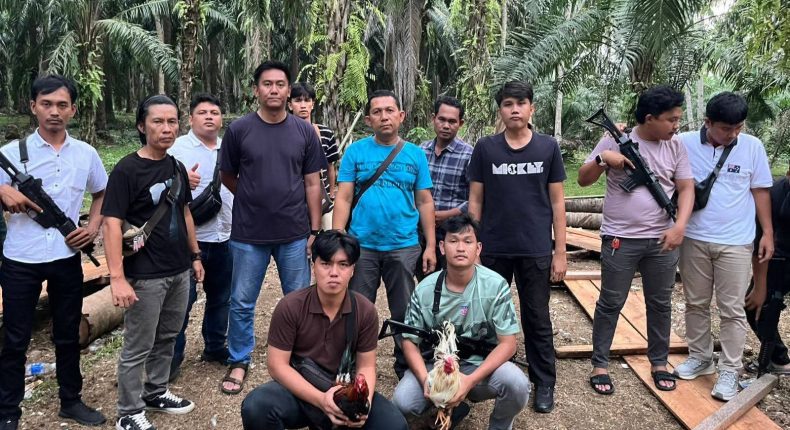 foto slider headline