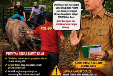 headline-foto